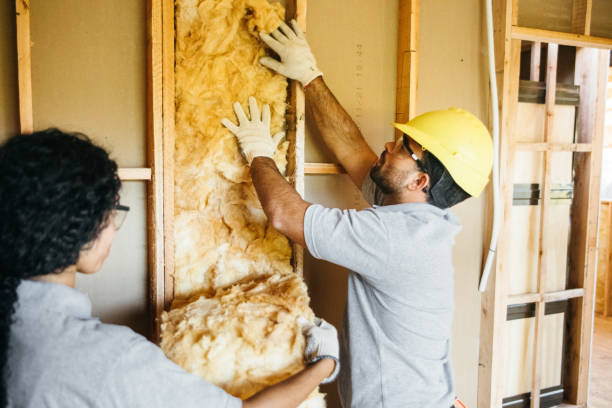 Eco-Friendly or Green Insulation Solutions in Escatawpa, MS